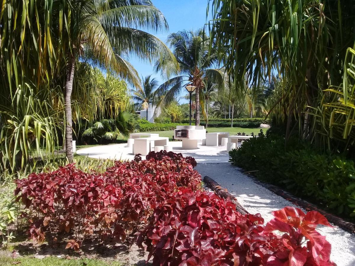 Swim The Caribbean & Work With A View Apartamento Cancún Exterior foto