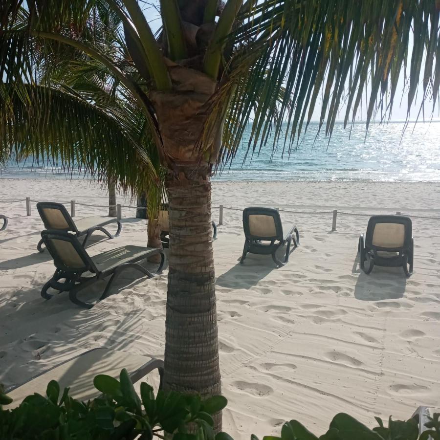 Swim The Caribbean & Work With A View Apartamento Cancún Exterior foto